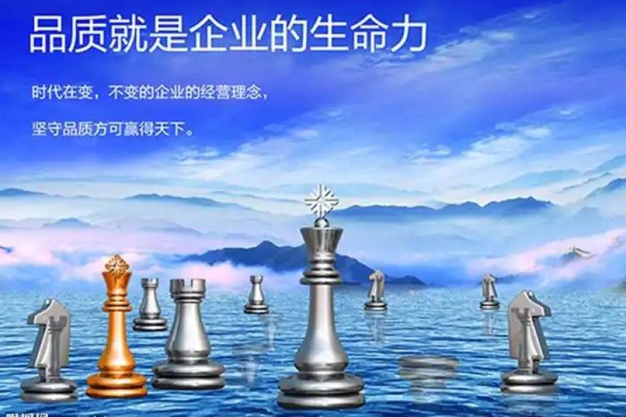 看台上的记录者：一位女球迷如何在人人体育社区写下两个赛季的观赛笔记